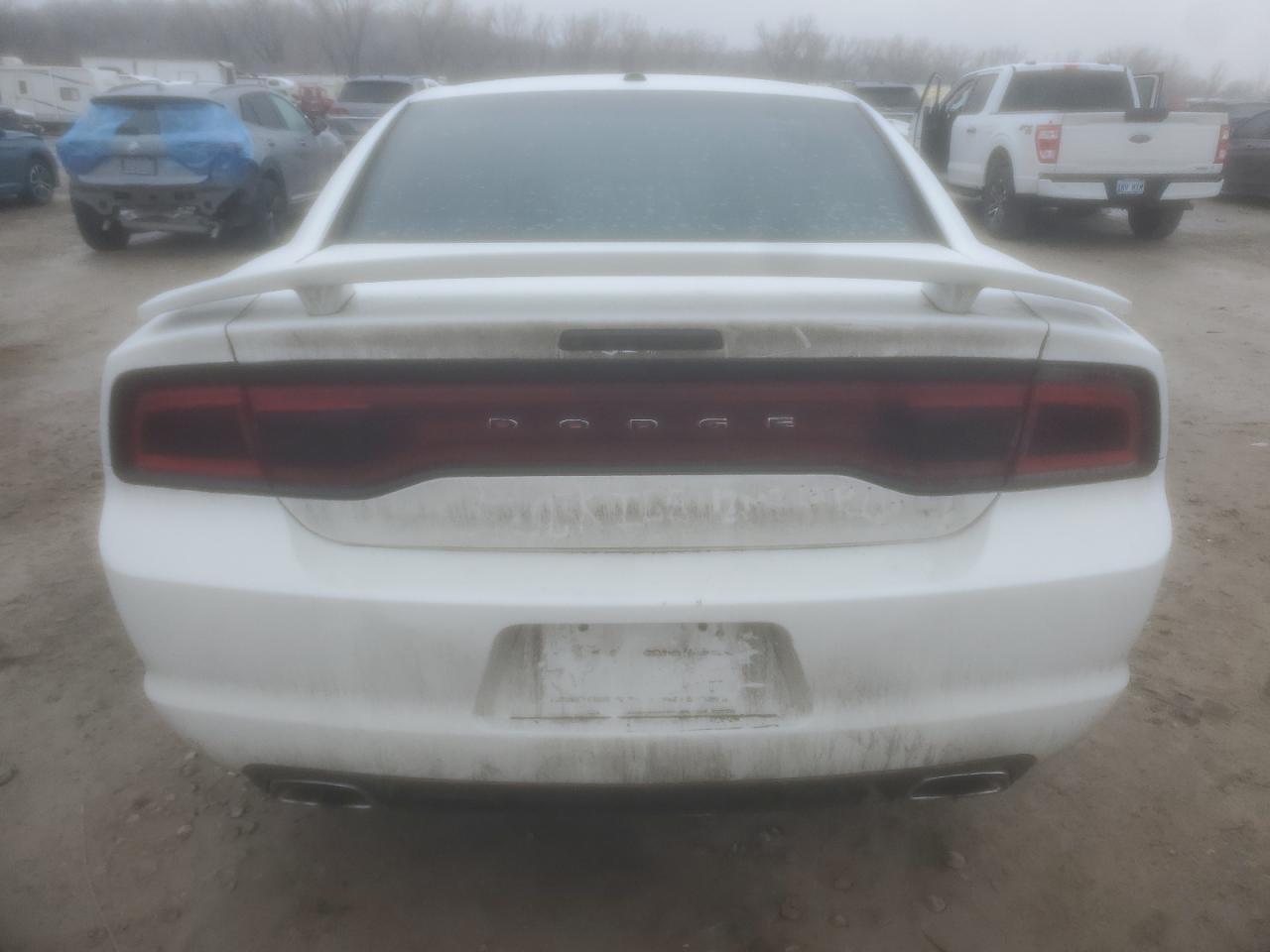 2014 Dodge Charger VIN 2C3CDXDT5EH354411 Copart auction photo, side damage thumbnail 6