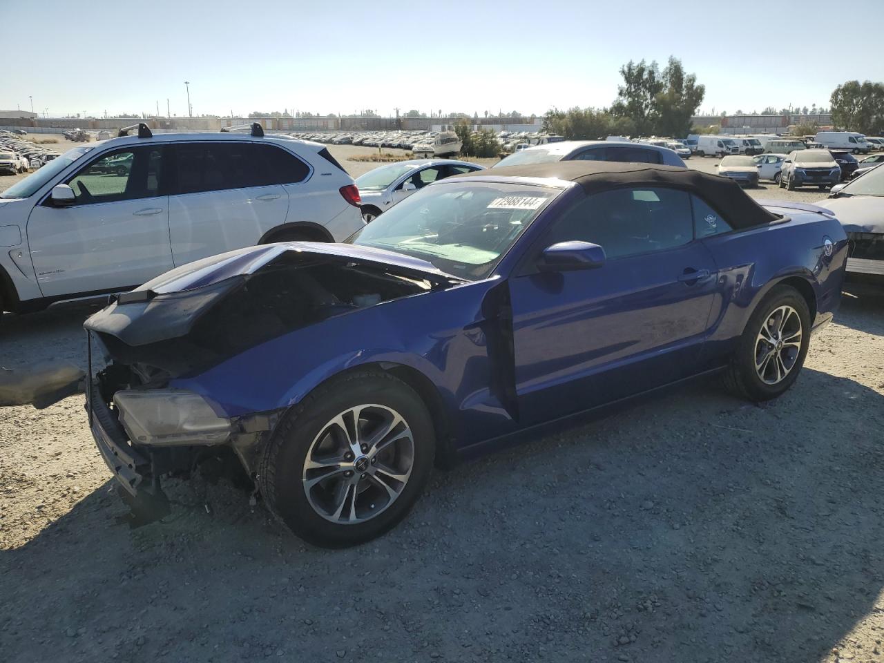 2013 Ford Mustang VIN 1ZVBP8EM7D5264823