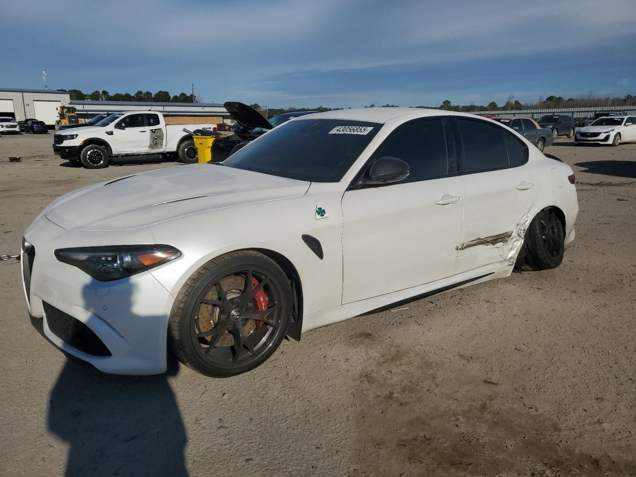 2019 Alfa Romeo Giulia VIN ZARFAMEV1K7613635