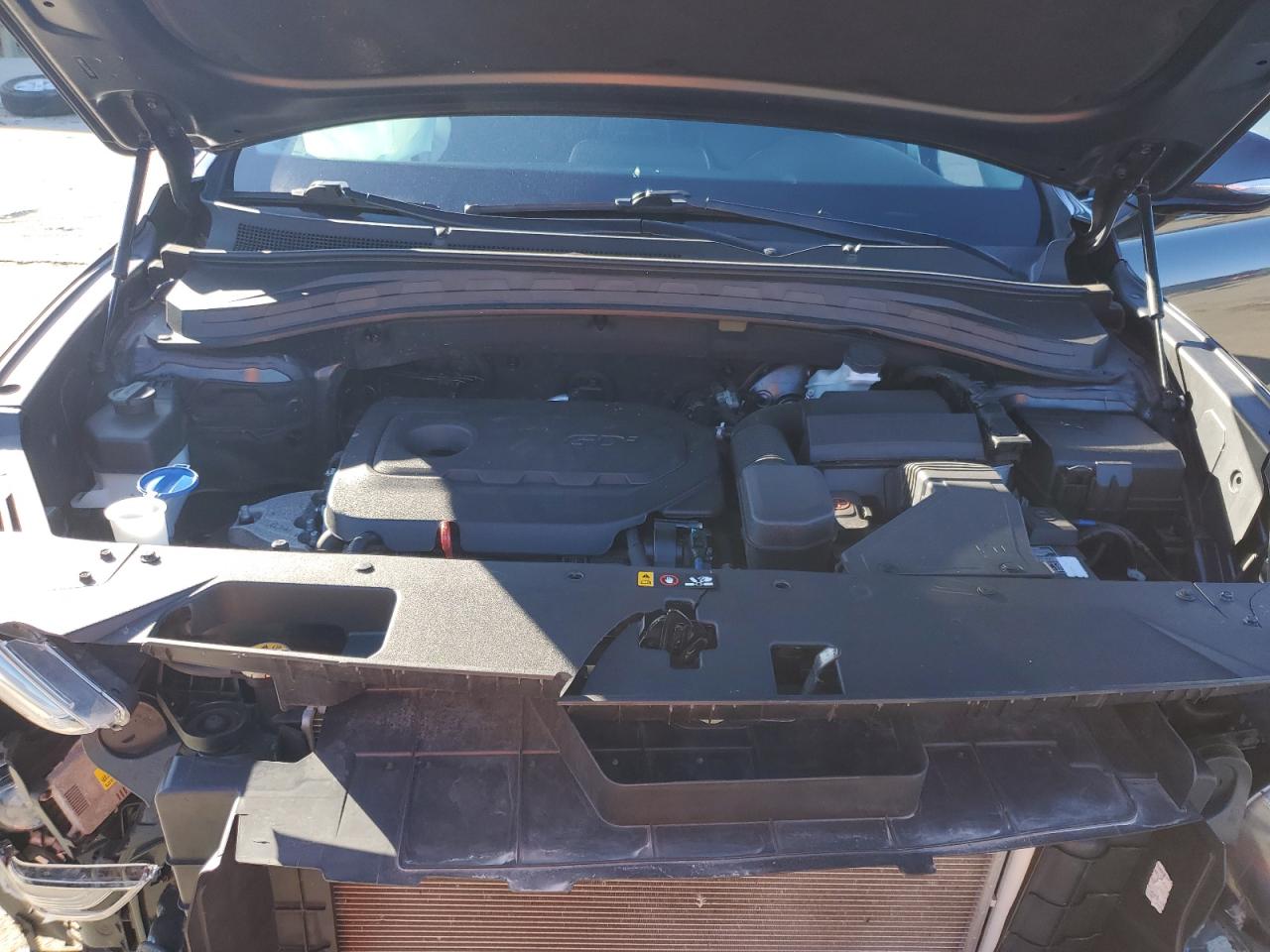 2020 Hyundai Santa Fe VIN 5NMS3CAD3LH293741 Copart auction photo, front end damage thumbnail 11