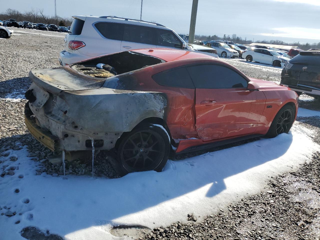 2015 Ford Mustang VIN 1FA6P8CF3F5348896 Copart auction photo, side / burn damage thumbnail 3
