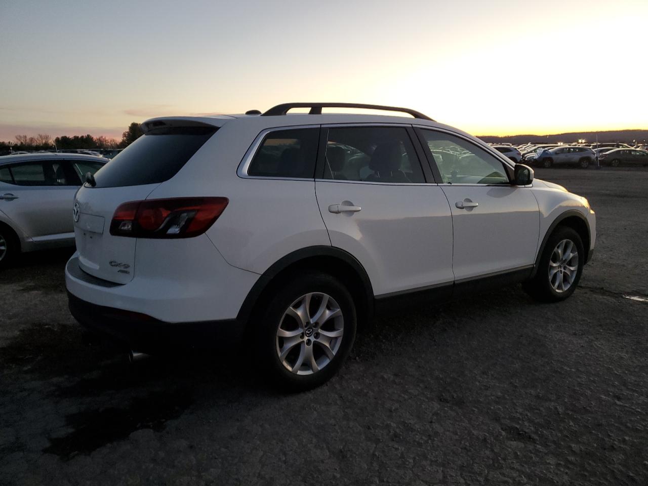 2014 Mazda CX-9 VIN JM3TB3CV9E0426087 Copart auction photo, minor dent/scratches damage thumbnail 3