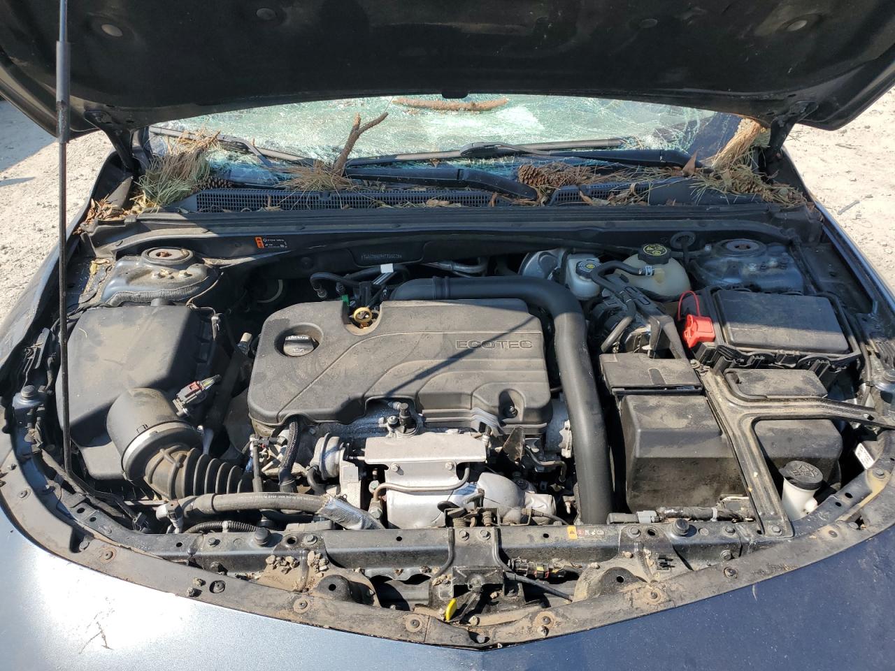 2019 Chevrolet Malibu VIN 1G1ZD5ST4KF166675 Copart auction photo, all over damage thumbnail 11