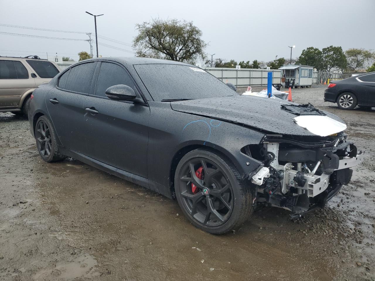 2019 Alfa Romeo Giulia VIN ZARFAMAN4K7606393 Copart auction photo, front end damage thumbnail 4