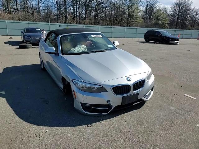 2016 BMW 2er VIN WBA1L9C57GV767345 Copart auction photo, front end / minor dent/scratches damage thumbnail 10