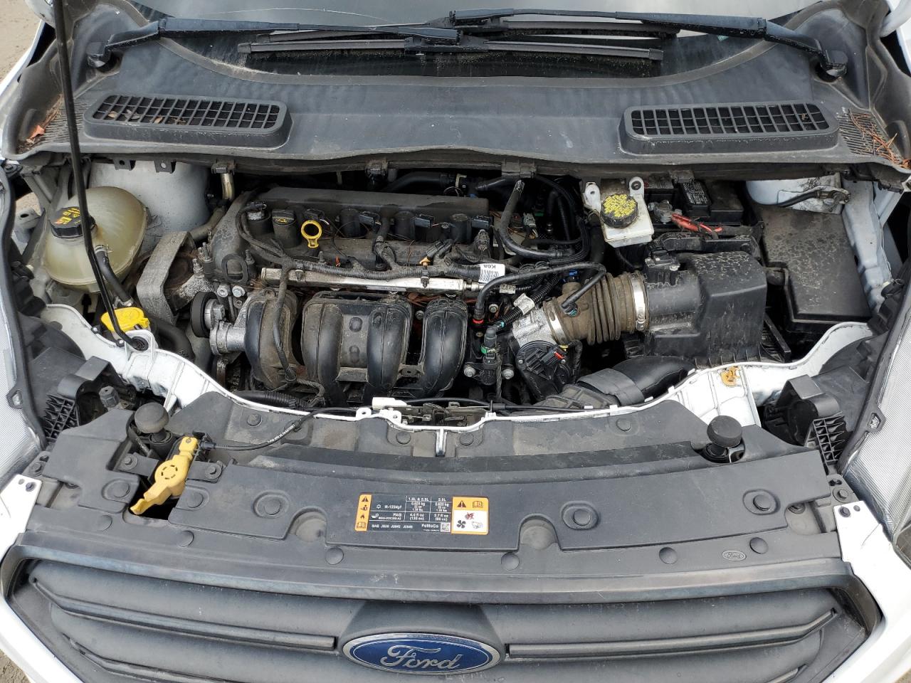 2019 Ford Escape VIN 1FMCU0F72KUB96245 Copart auction photo, rear end / minor dent/scratches damage thumbnail 12