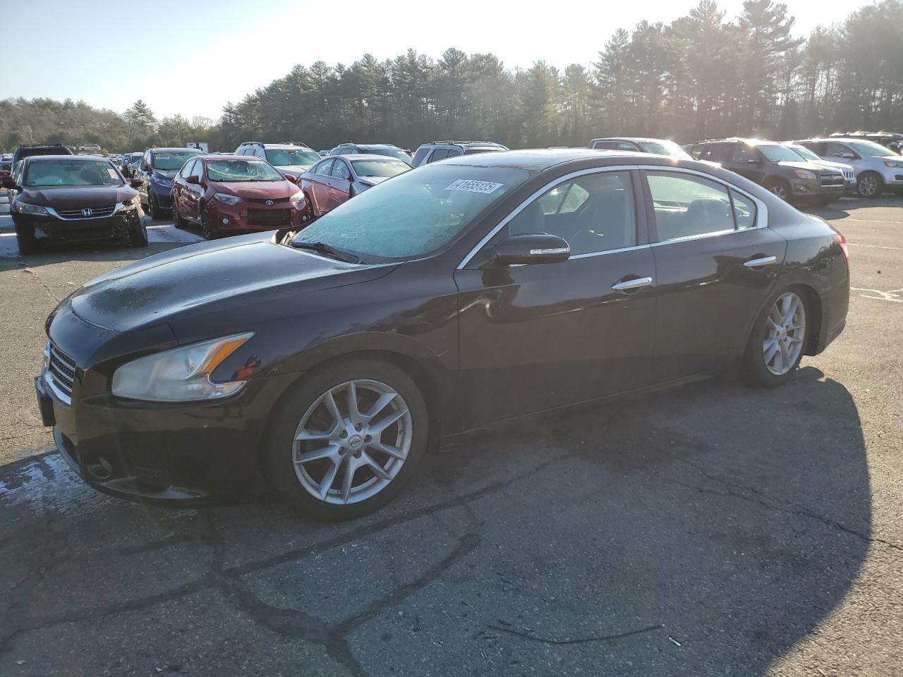 2010 Nissan Maxima VIN 1N4AA5AP7AC830927
