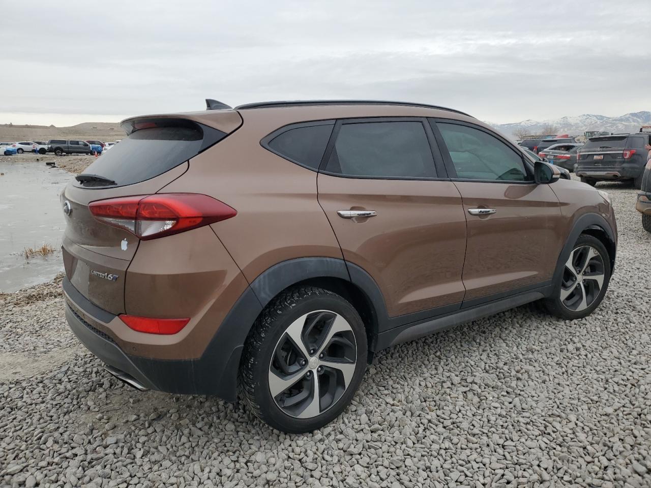 2016 Hyundai Tucson VIN KM8J33A28GU201480 Copart auction photo, side damage thumbnail 3