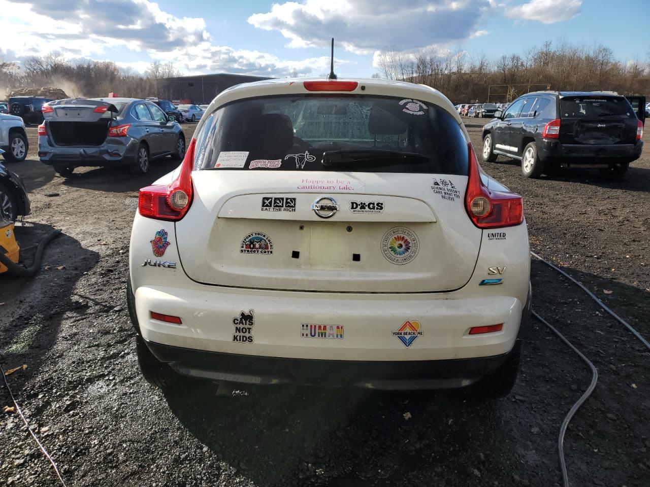 2013 Nissan Juke VIN JN8AF5MR9DT224224 Copart auction photo, front end / minor dent/scratches damage thumbnail 6