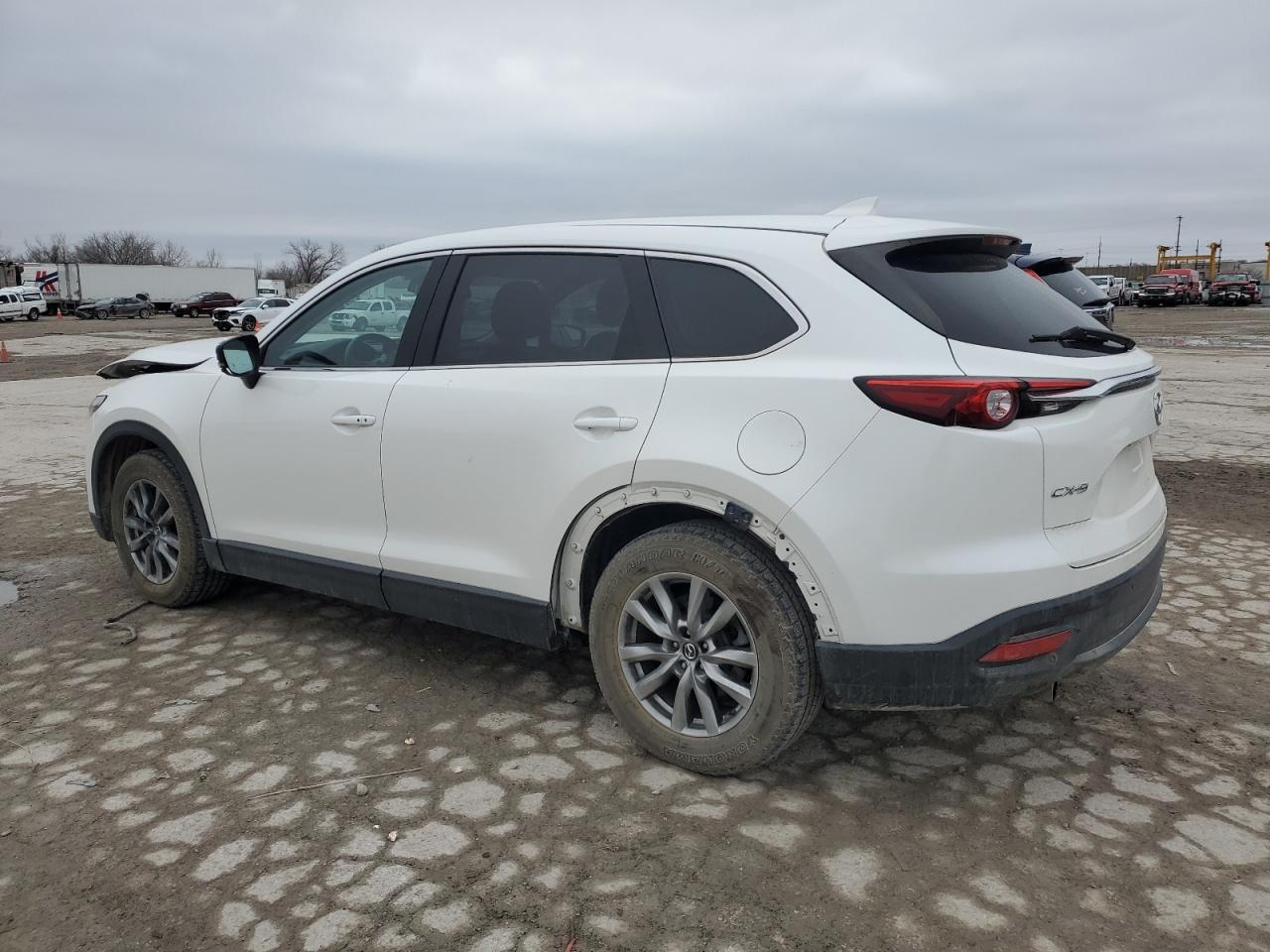 2016 Mazda CX-9 VIN JM3TCACY7G0120326 Copart auction photo, all over / minor dent/scratches damage thumbnail 2
