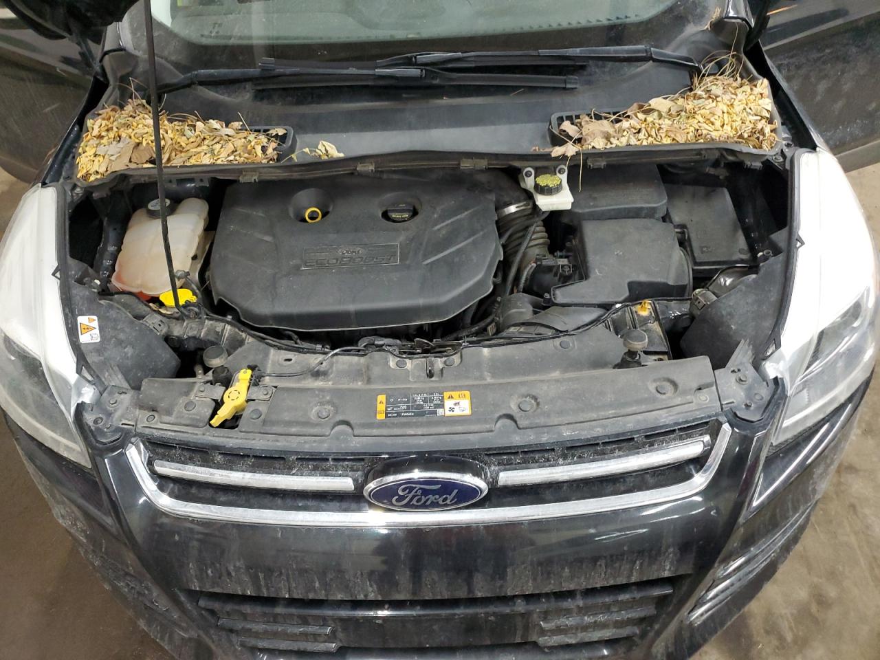 2013 Ford Escape VIN 1FMCU9J90DUC46074 Copart auction photo, rear end damage thumbnail 13
