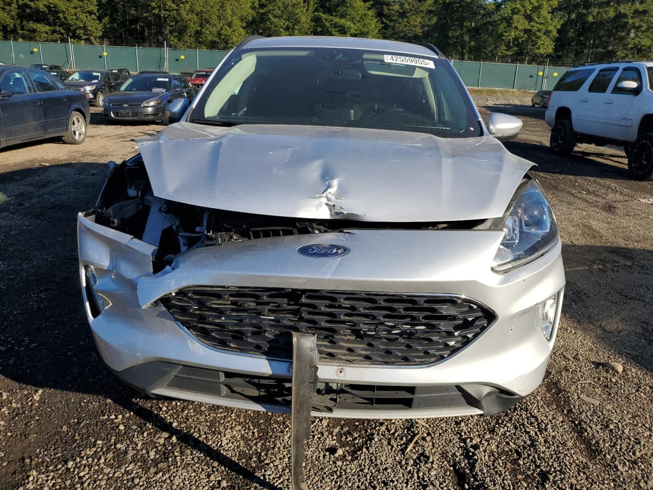 2020 Ford Escape VIN 1FMCU9H97LUA11823 Copart auction photo, front end damage thumbnail 5