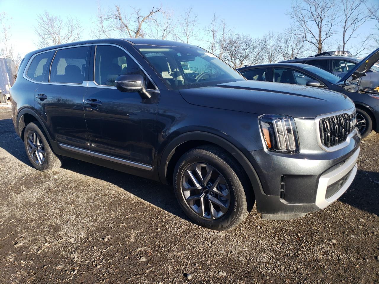 2024 KIA Telluride VIN 5XYP24GC1RG553134 Copart auction photo, water/flood damage thumbnail 4