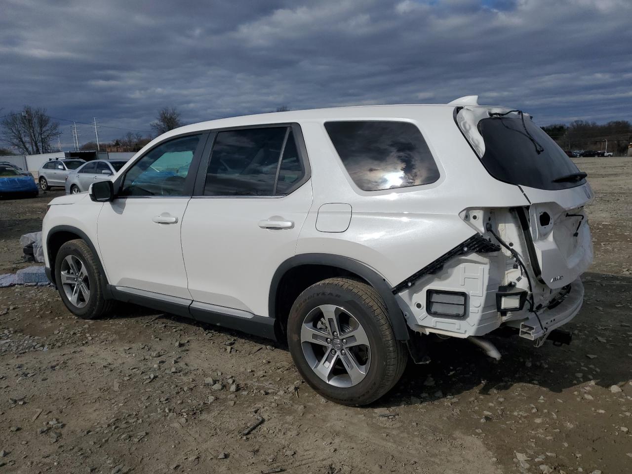 2024 Honda Pilot VIN 5FNYG1H49RB032097 Copart auction photo, rear end damage thumbnail 2