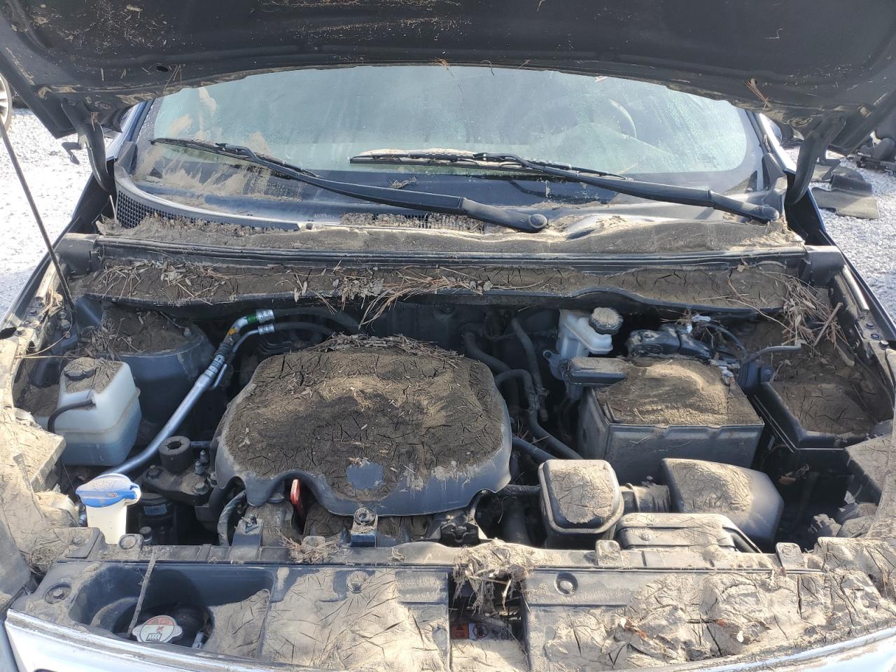 2016 KIA Sportage VIN KNDPBCAC7G7874219 Copart auction photo, water/flood damage thumbnail 13