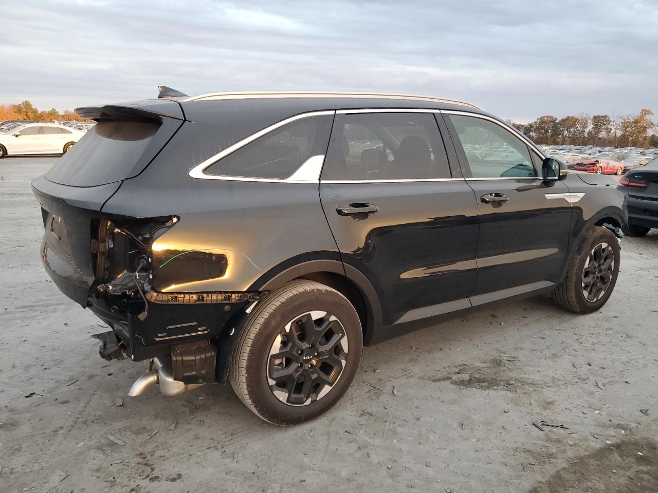 2024 KIA Sorento VIN 5XYRL4JC1RG295941 Copart auction photo, front end / rear end damage thumbnail 3