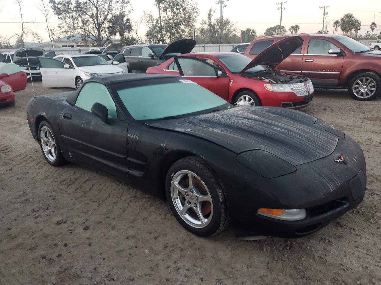 2004 Chevrolet Corvette VIN 1G1YY32G245123517 Copart auction photo, water/flood damage thumbnail 4