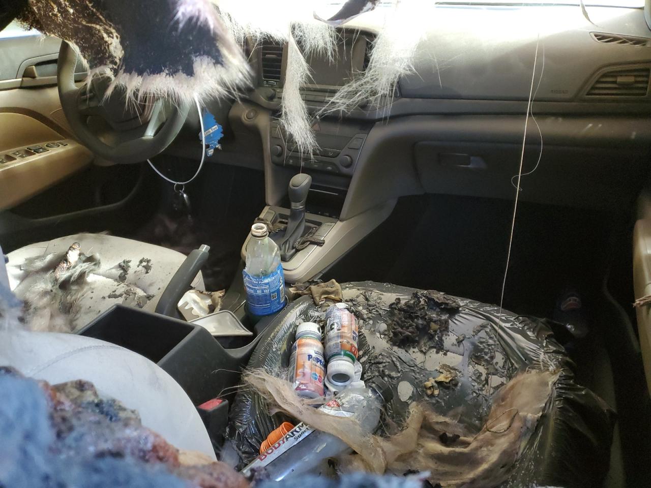 2017 Hyundai Elantra VIN 5NPD84LF2HH016894 Copart auction photo, burn damage thumbnail 8