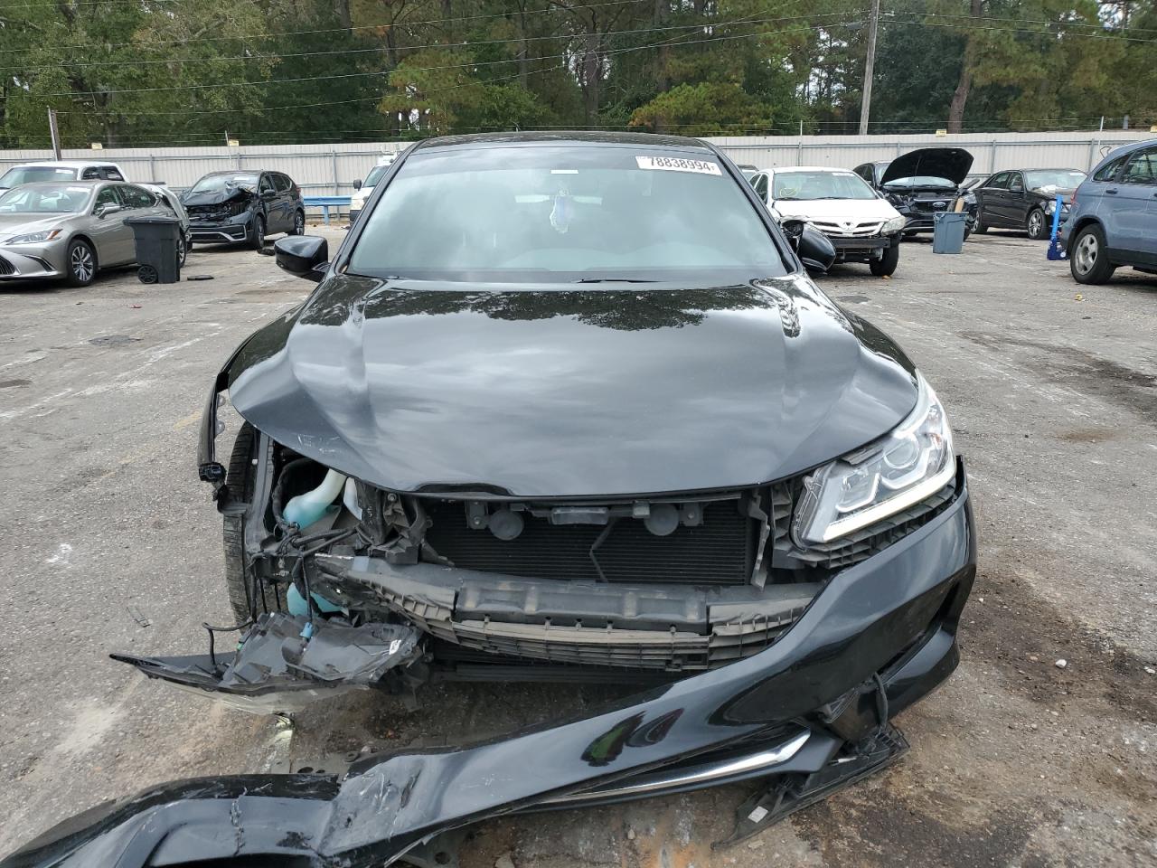 2017 Honda Accord VIN 1HGCR2F51HA128692 Copart auction photo, rear end / front end damage thumbnail 5