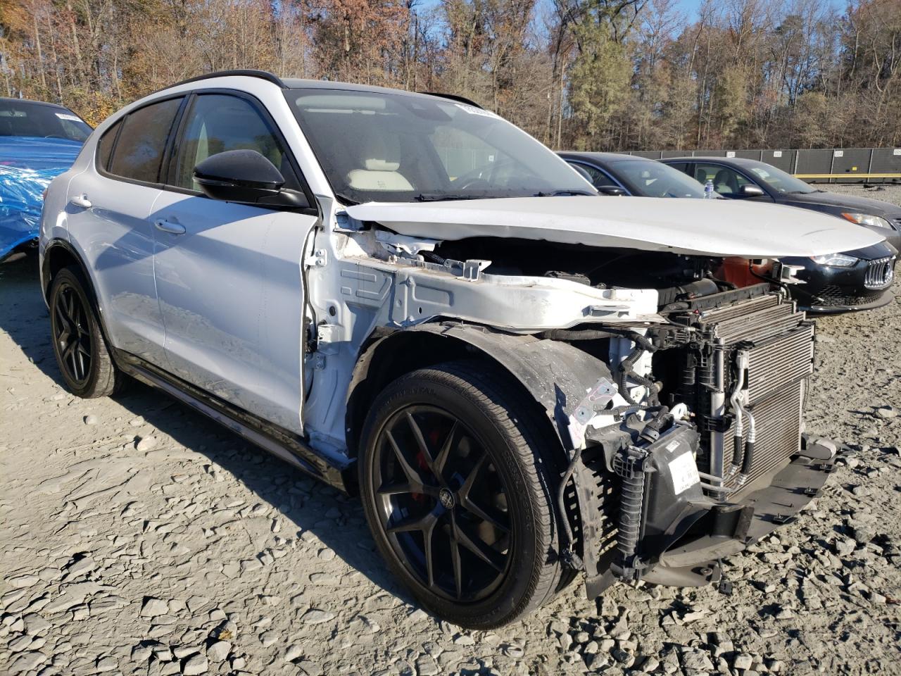 2020 Alfa Romeo Stelvio VIN ZASPAKAN5L7C85671 Copart auction photo, front end damage thumbnail 4
