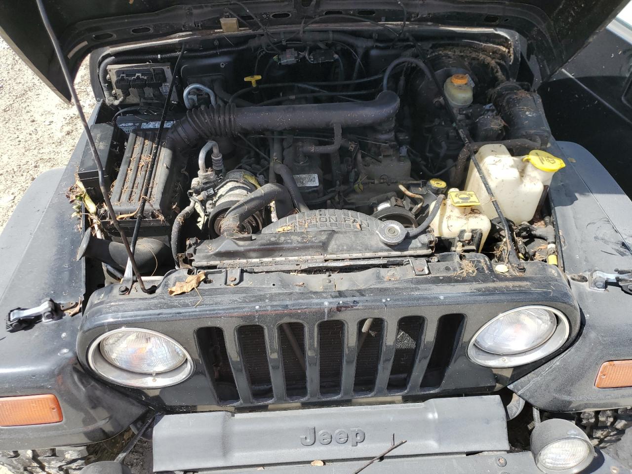 1999 Jeep Wrangler VIN 1J4FY49S7XP406917 Copart auction photo, water/flood damage thumbnail 11