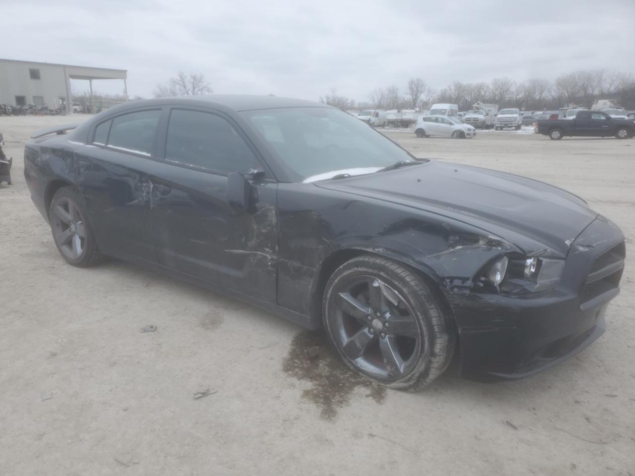 2014 Dodge Charger VIN 2C3CDXHG0EH236554 Copart auction photo, side damage thumbnail 4