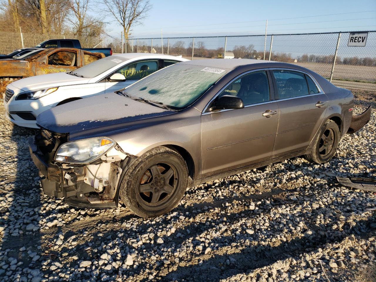 2010 Chevrolet Malibu VIN 1G1ZB5EB8AF213262
