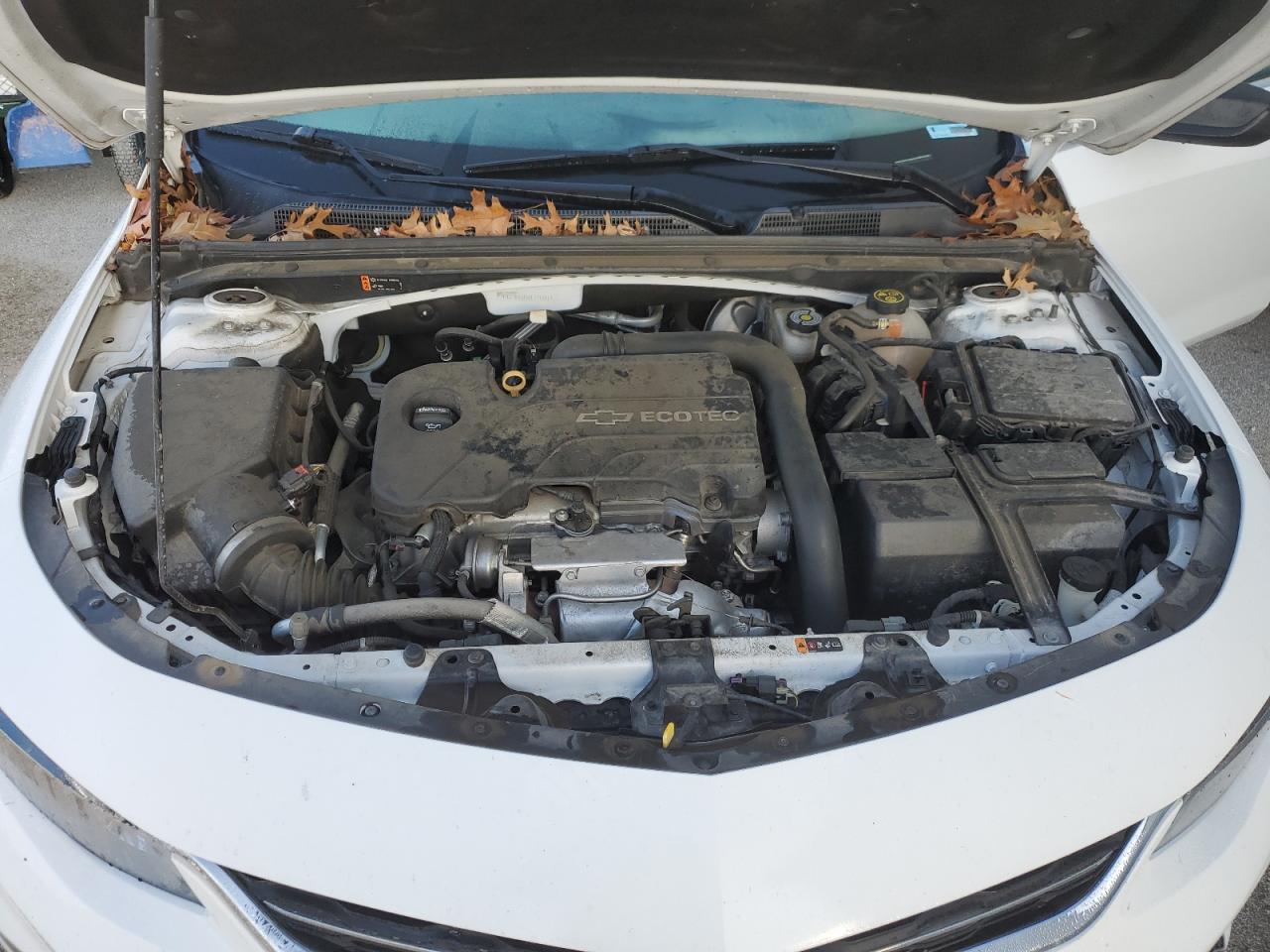 2018 Chevrolet Malibu VIN 1G1ZB5STXJF171531 Copart auction photo, rear end damage thumbnail 12