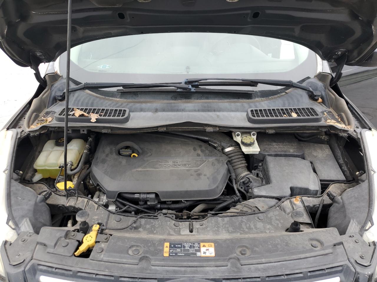 2014 Ford Escape VIN 1FMCU0GX8EUB08186 Copart auction photo, rear end / side damage thumbnail 12