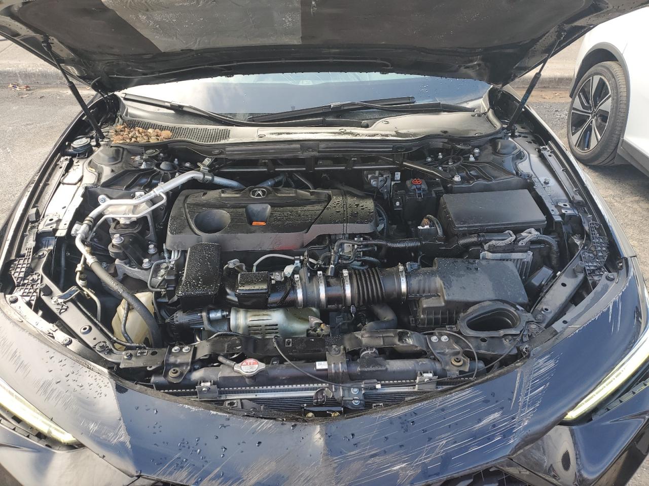 2022 Acura TLX VIN 19UUB5F56NA003127 Copart auction photo, all over / mechanical damage thumbnail 11