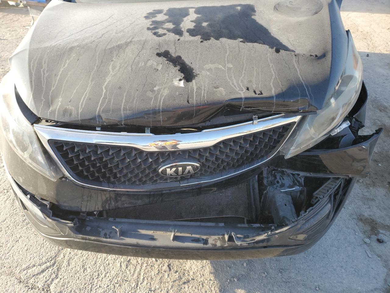 2016 KIA Sportage VIN KNDPBCAC0G7831390 Copart auction photo, front end / minor dent/scratches damage thumbnail 12