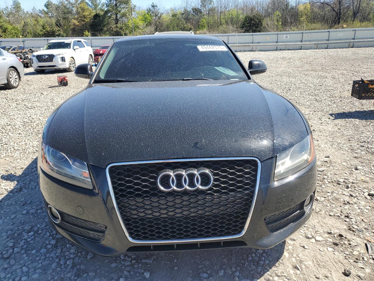 2009 Audi A5 VIN WAUDK78T79A031317 Copart auction photo, water/flood / minor dent/scratches damage thumbnail 5