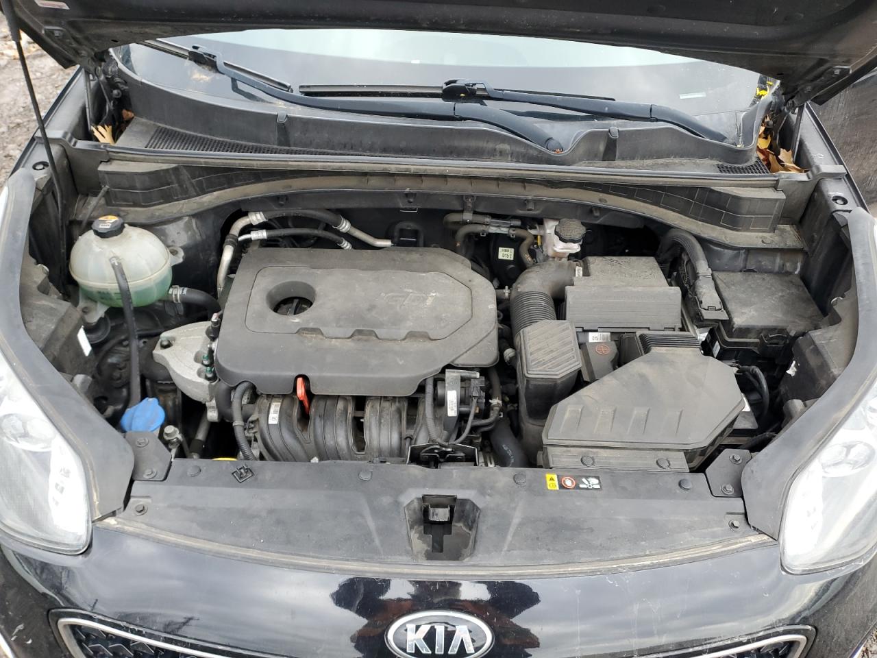2018 KIA Sportage VIN KNDPMCAC6J7387787 Copart auction photo, vandalism / side damage thumbnail 11