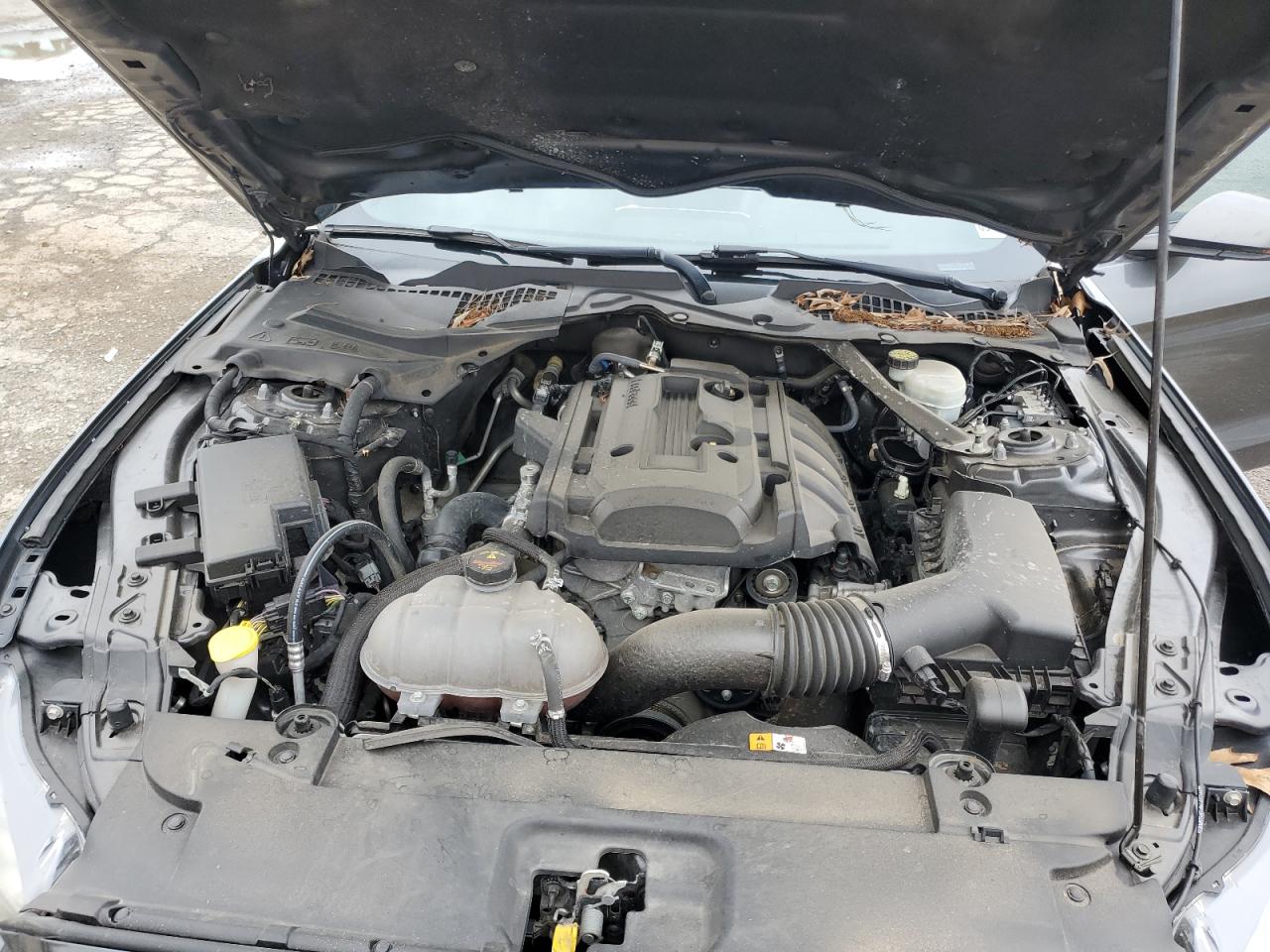 2017 Ford Mustang VIN 1FA6P8TH5H5312650 Copart auction photo, side / minor dent/scratches damage thumbnail 13