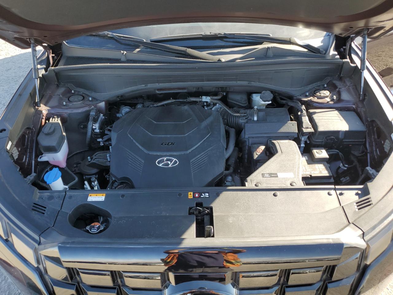 2024 Hyundai Palisade VIN KM8R54GE2RU660530 Copart auction photo, rear end damage thumbnail 12