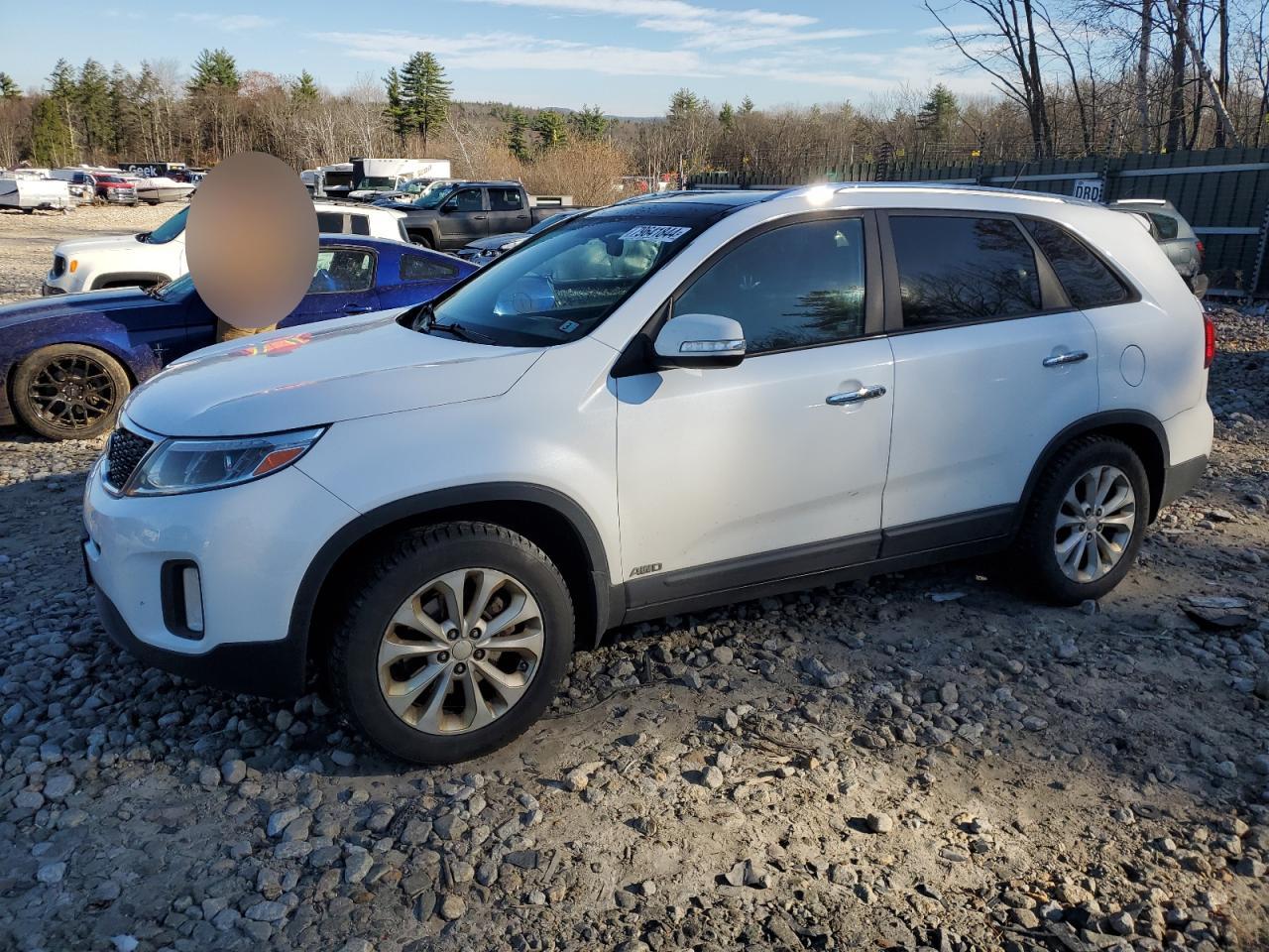 2014 KIA Sorento VIN 5XYKUDA71EG531516