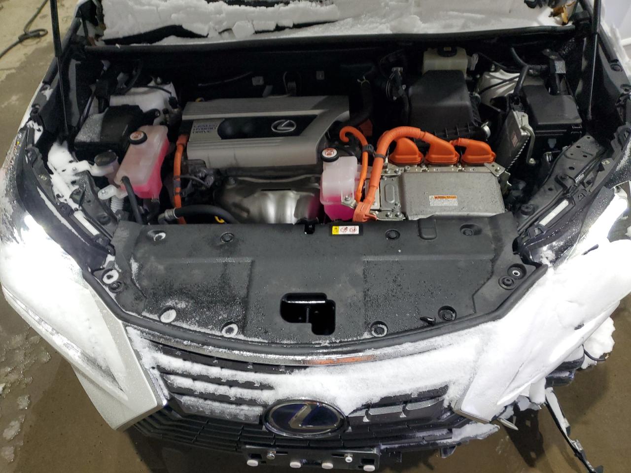 2021 Lexus NX VIN JTJDJRDZ1M5015057 Copart auction photo, front end damage thumbnail 13