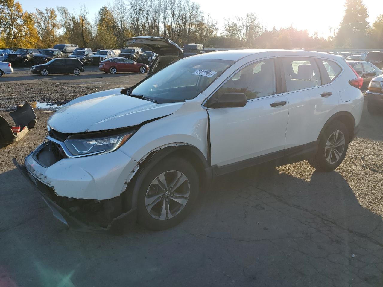 2017 Honda CR-V VIN 2HKRW6H37HH206924