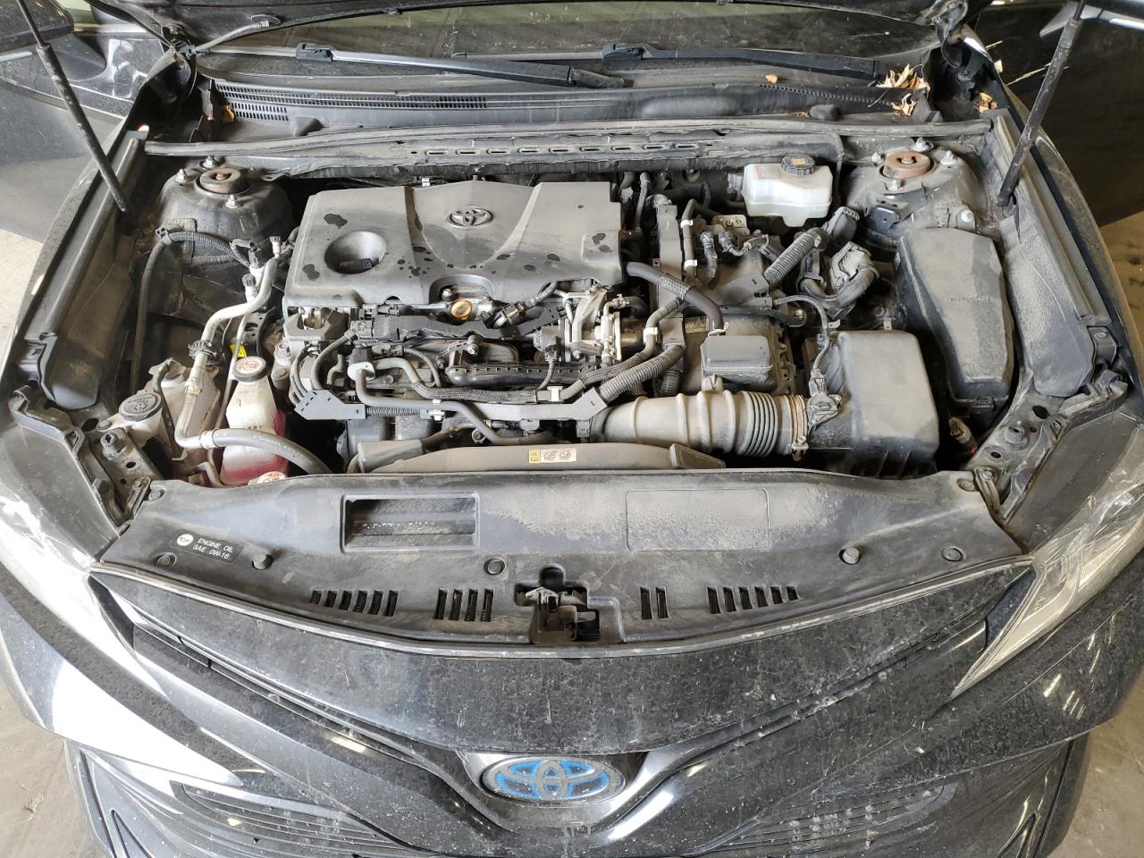 2020 Toyota Camry VIN 4T1E31AK3LU011876 Copart auction photo, rear end / minor dent/scratches damage thumbnail 12