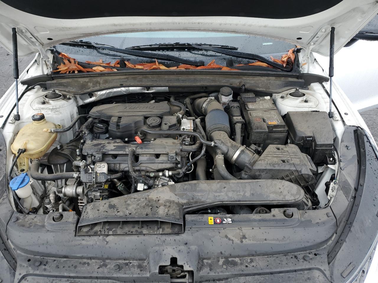 2022 KIA K5 VIN 5XXG64J26NG087624 Copart auction photo, front end damage thumbnail 11