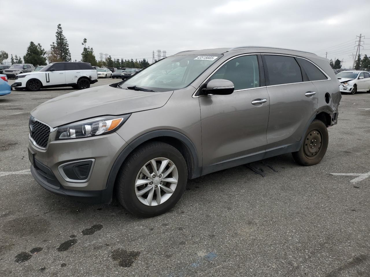2017 KIA Sorento VIN 5XYPG4A31HG263260