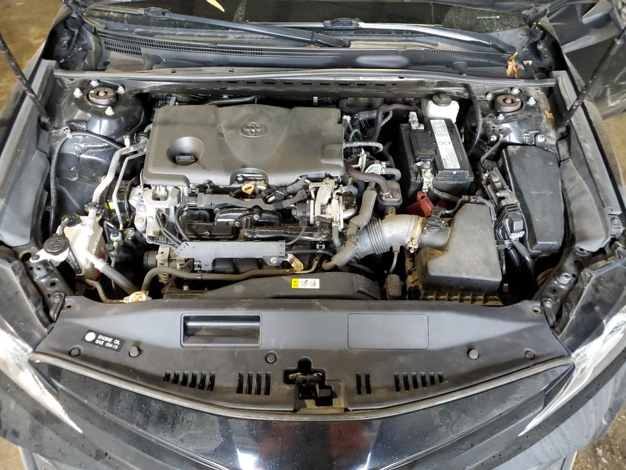 2019 Toyota Camry VIN 4T1B11HK2KU290900 Copart auction photo, side damage thumbnail 11
