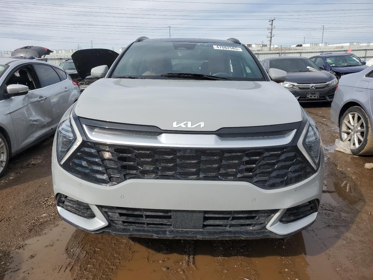 2024 KIA Sportage VIN 5XYK5CDF4RG153420 Copart auction photo, rear end damage thumbnail 5