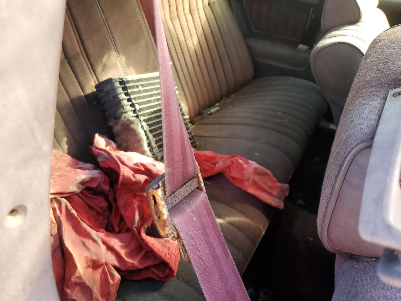 1986 Chevrolet Monte Carlo VIN 1G1GZ37G0GR109100 Copart auction photo, burn damage thumbnail 10