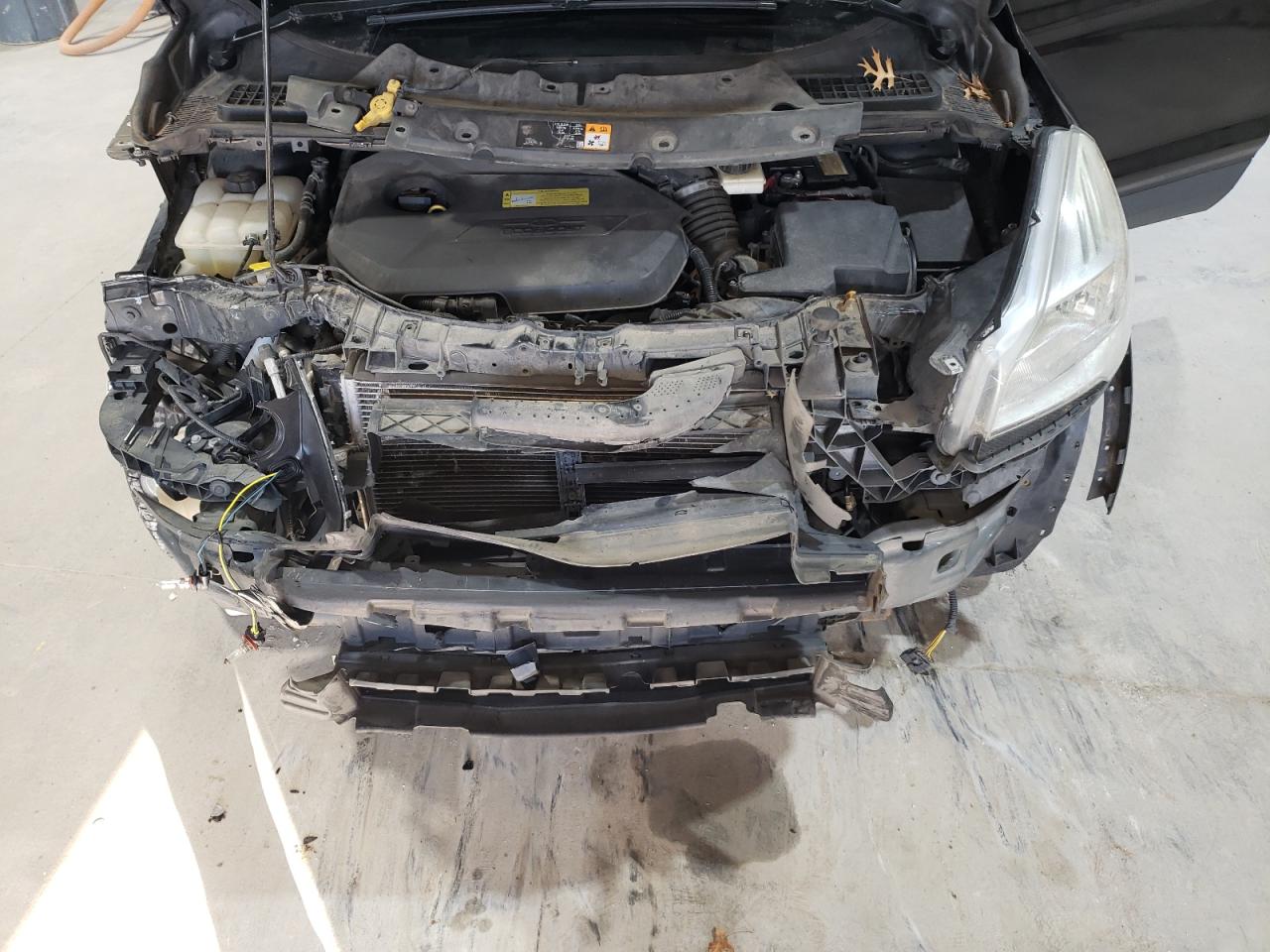 2014 Ford Escape VIN 1FMCU0JX5EUA37456 Copart auction photo, front end / minor dent/scratches damage thumbnail 12