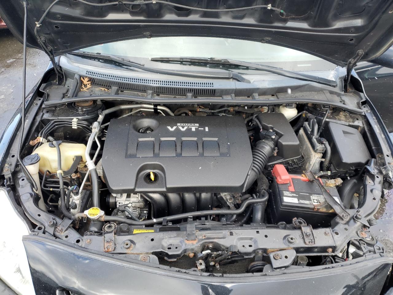 2010 Toyota Corolla VIN 2T1BU4EEXAC491807 Copart auction photo, front end / minor dent/scratches damage thumbnail 11