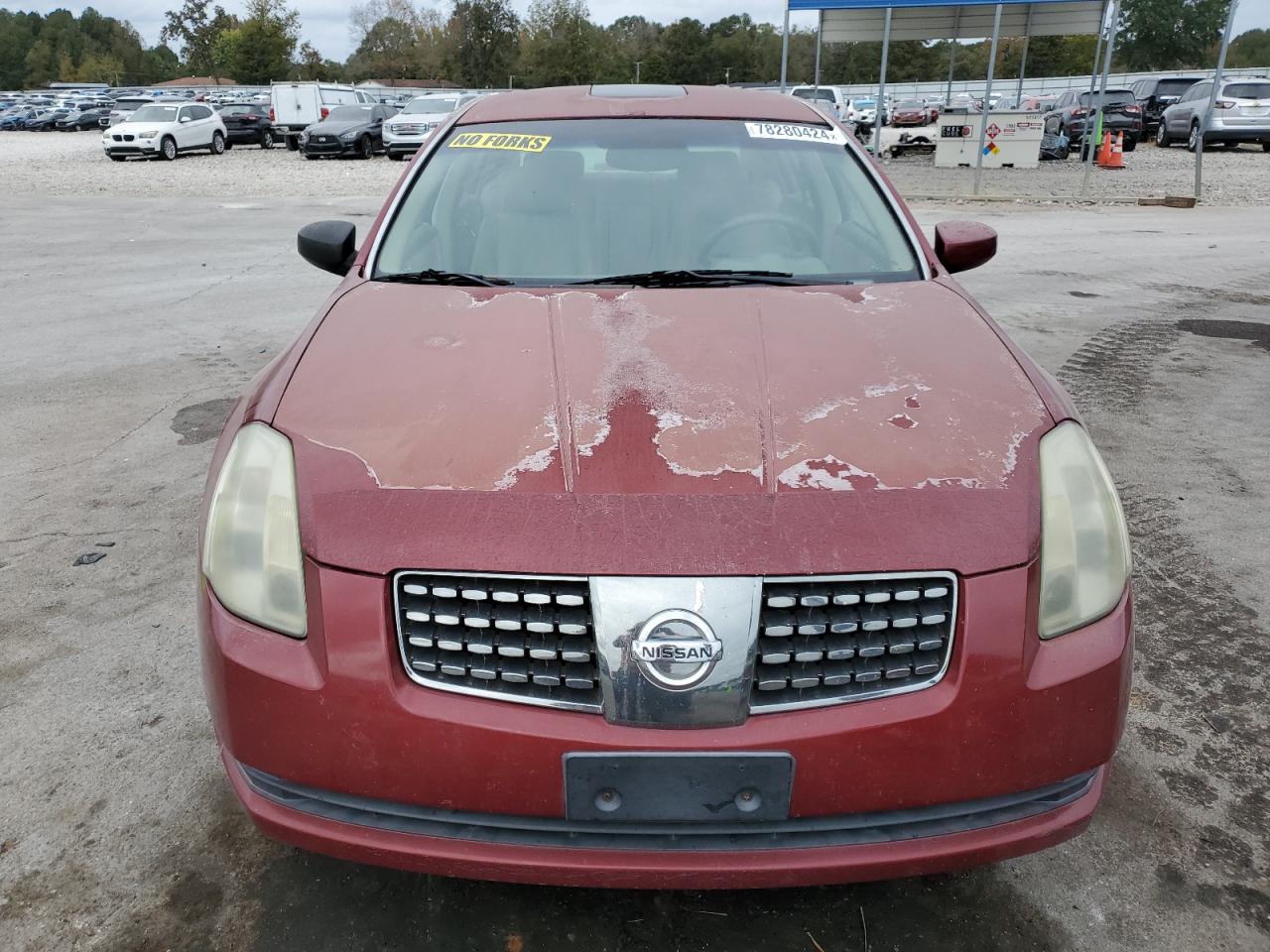 2005 Nissan Maxima VIN 1N4BA41E85C868945 Copart auction photo, minor dent/scratches damage thumbnail 5