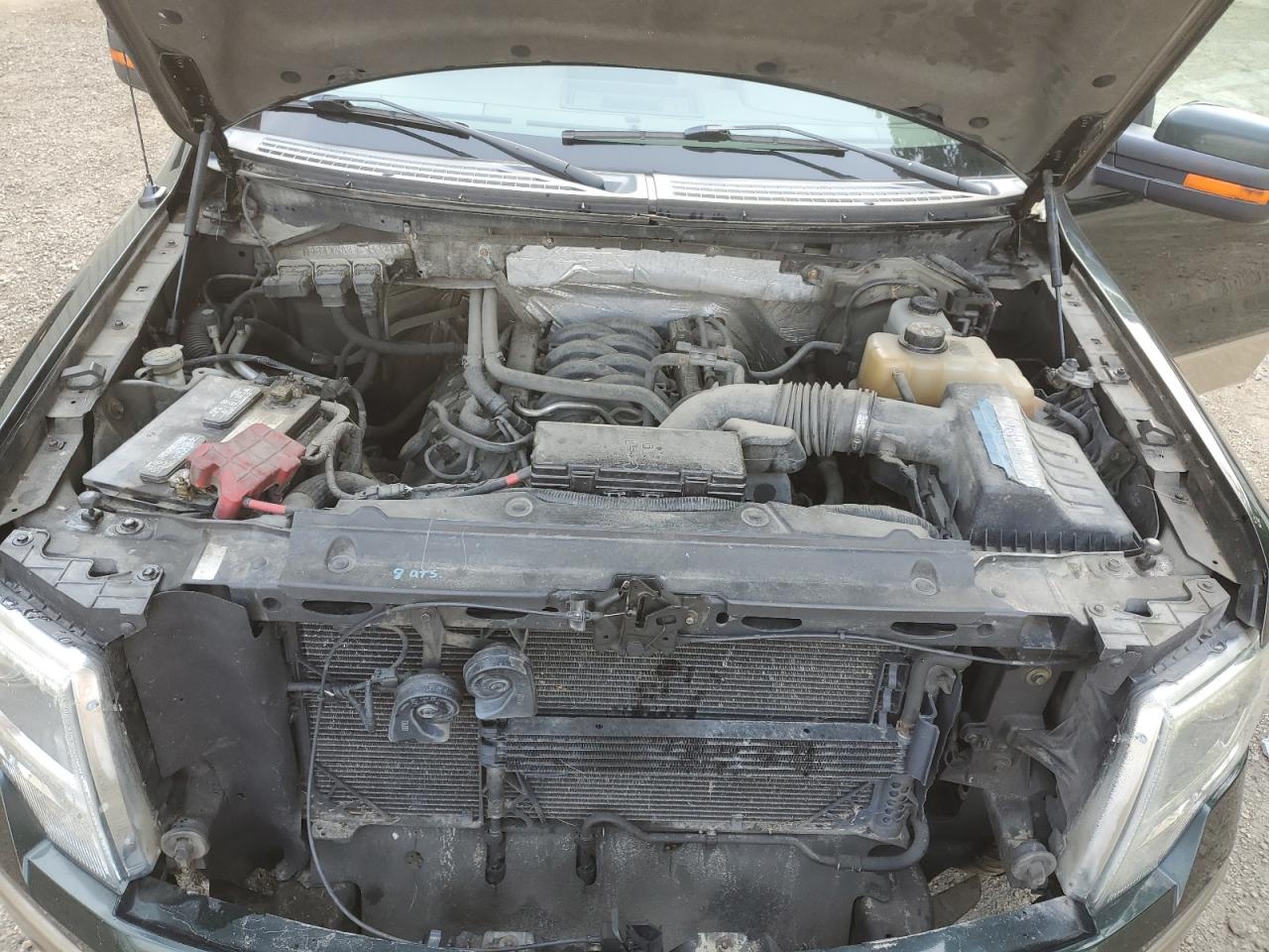 2013 Ford F-150 VIN 1FTFW1EF9DKD18477 Copart auction photo, water/flood / mechanical damage thumbnail 11