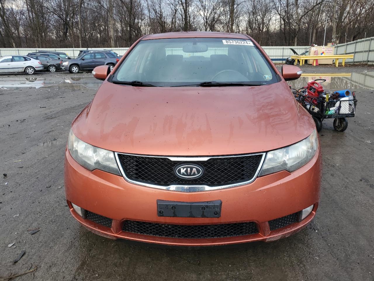 2010 KIA Forte VIN KNAFW4A39A5049465 Copart auction photo, burn damage thumbnail 5