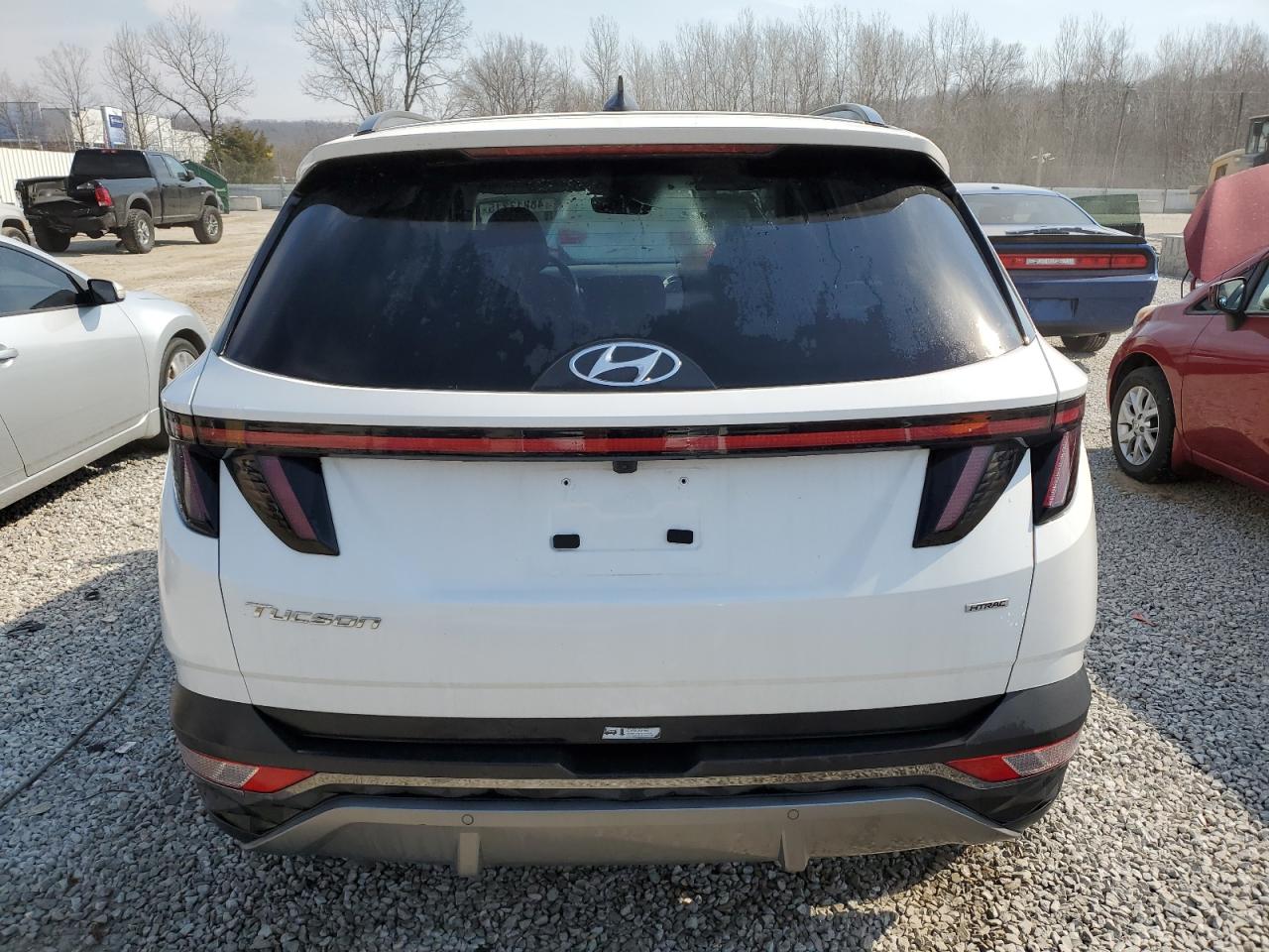 2023 Hyundai Tucson VIN 5NMJECAE9PH215971 Copart auction photo, water/flood damage thumbnail 6
